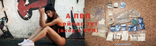 a pvp Гусь-Хрустальный