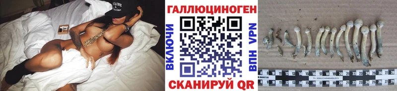 Галлюциногенные грибы Psilocybine cubensis  наркотики  Михайлов 
